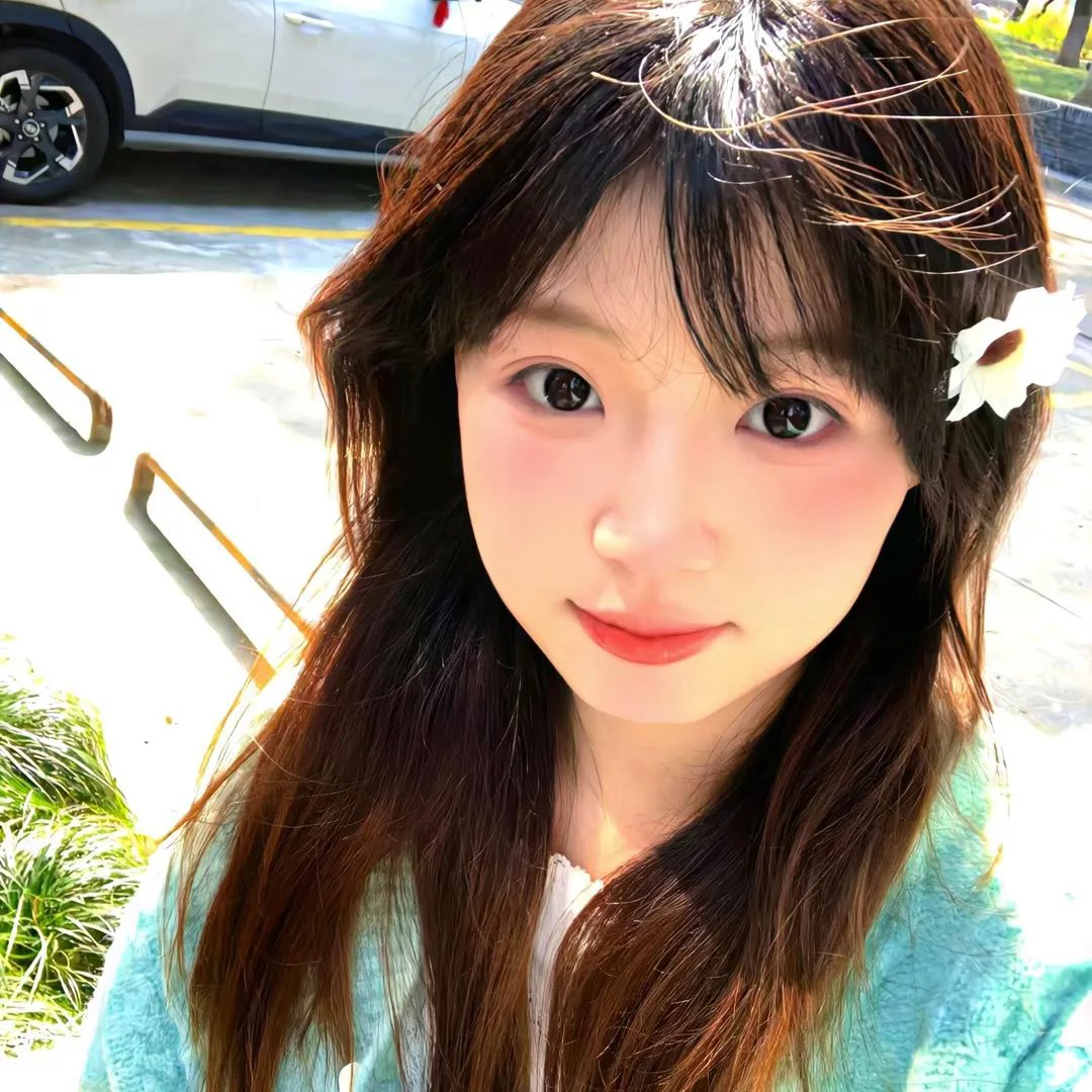懒女苏封面