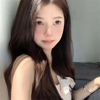 总统班底封面