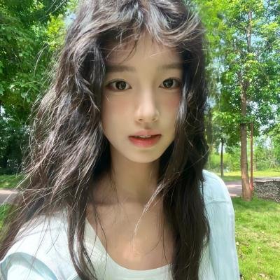 加州玩偶封面